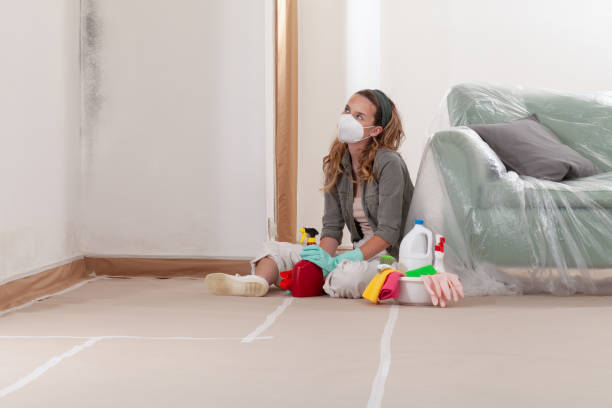 Reliable Commercial Mold Remediation contractor in Hickory Corners, MI by WQB Mold Removal